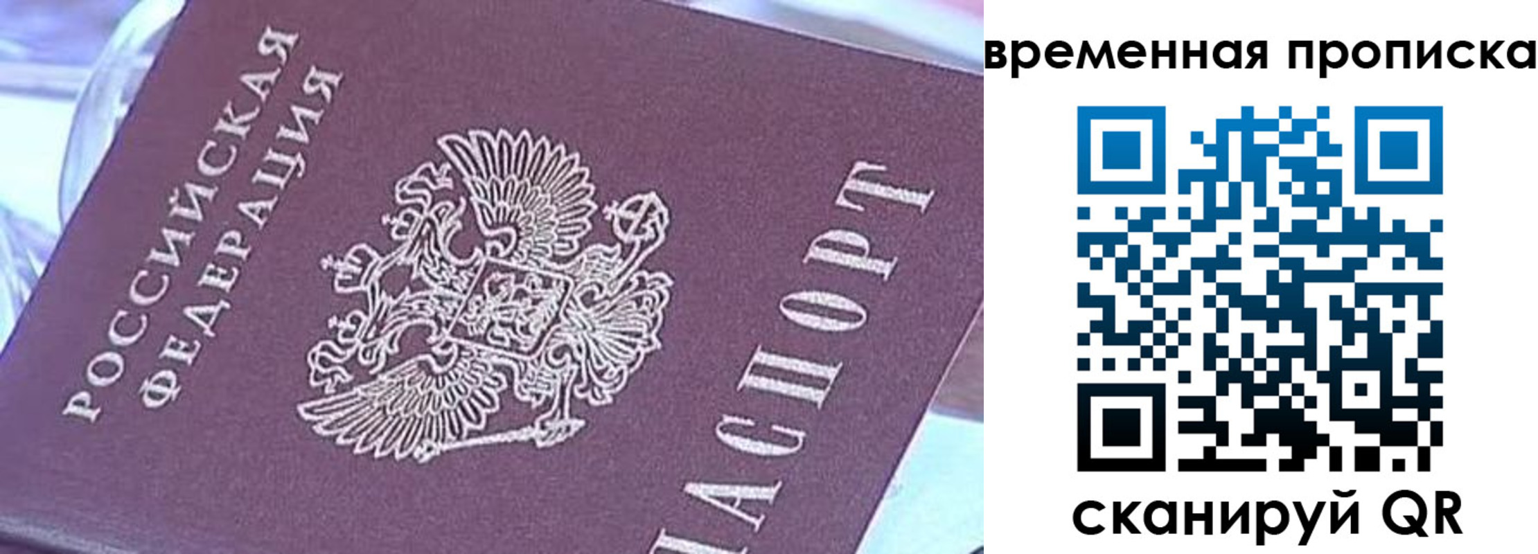 временная регистрация поиск в Электростали